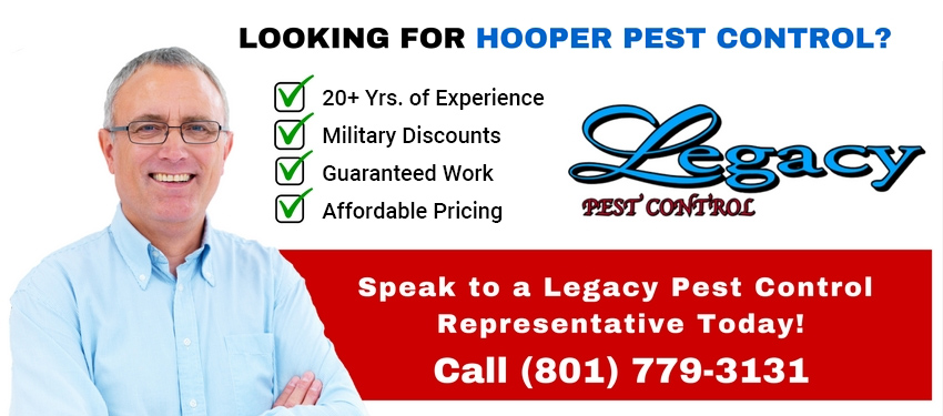 Hooper Pest Control