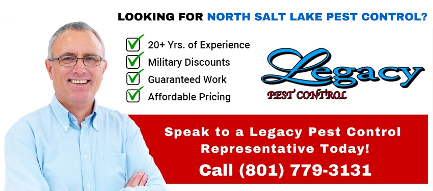 North Salt Lake Pest Control