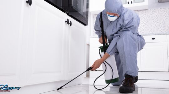 Commercial Pest Control in Utah: The Compelling Case for Legacy Pest Control