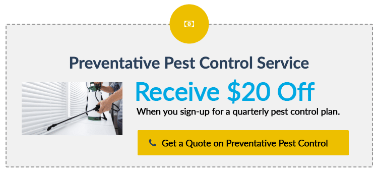 Save $20 on Preventative Pest Control Services in Utah - Contact Us to learn about our quarterly pest control service plans $20 off quarterly preventative pest control service graphic