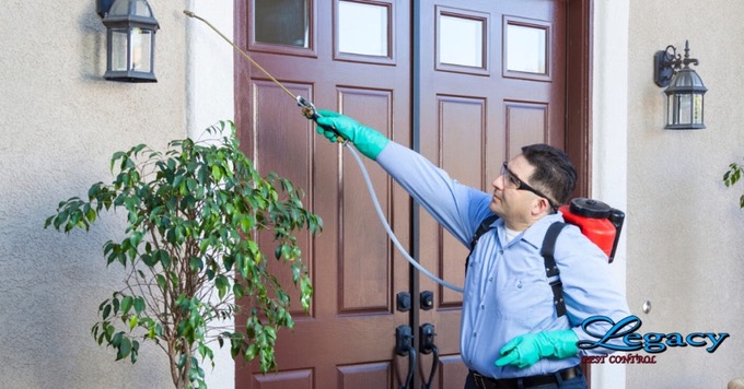 Residential Exterminator at work - Pest Control Company in West Valley City, Utah