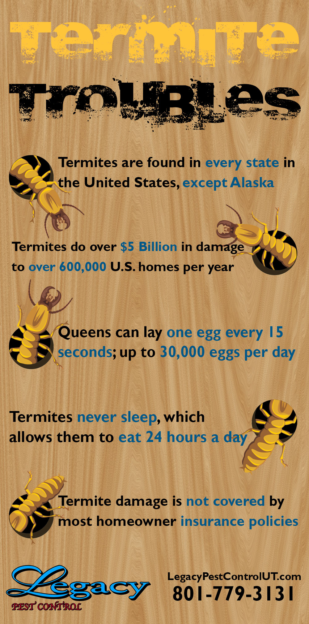 Termite troubles - Termite facts and termite pest control tips