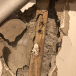 Termite damage behind drywall - Termite Pest Control & Extermination Services Utah