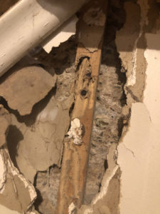 Termite damage behind drywall - Termite Pest Control & Extermination Services Utah
