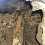 Termite damage up close - Termite Pest Control & Extermination Services Utah
