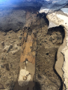 Termite damage up close - Termite Pest Control & Extermination Services Utah
