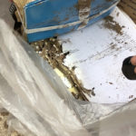 Termite Damage - Termite Pest Control & Extermination Services Utah