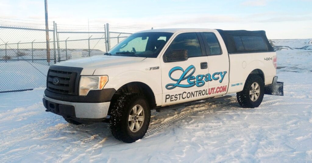 Interesting Info About Legacy Pest Control