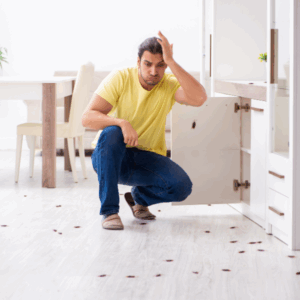 Cockroach crawling on a kitchen surface