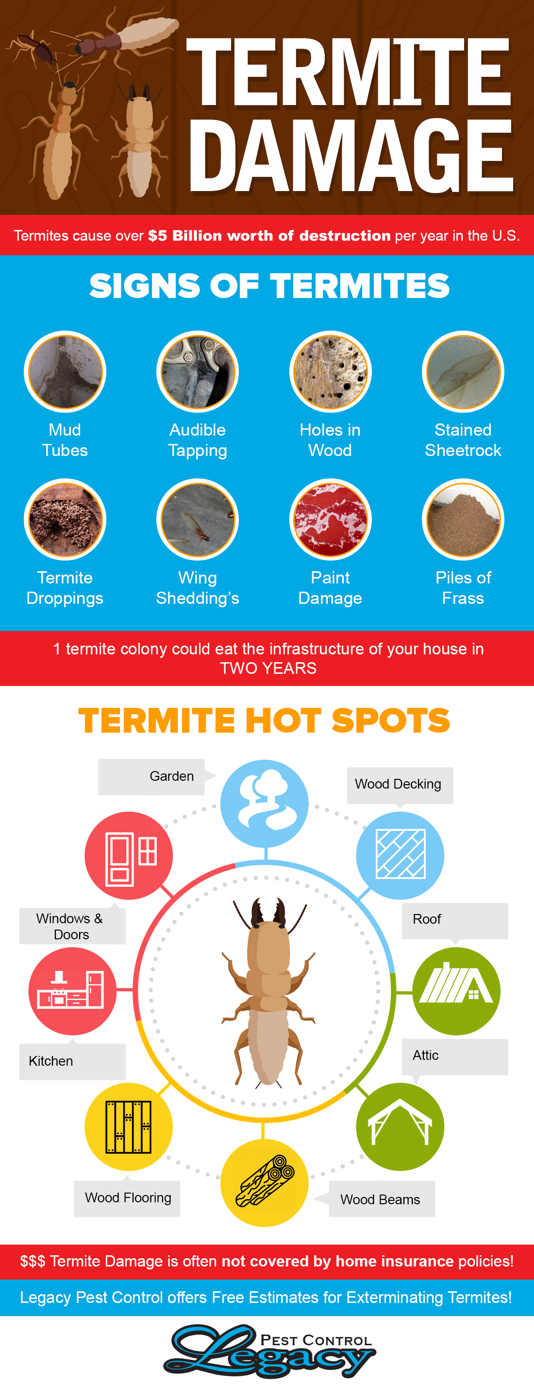 7 Signs of Termites Legacy Pest Control Utah