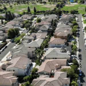 Close-up of Indianmeal moth, a common pantry pest
