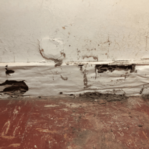 Termite droppings on hardwood floor resembling sawdust